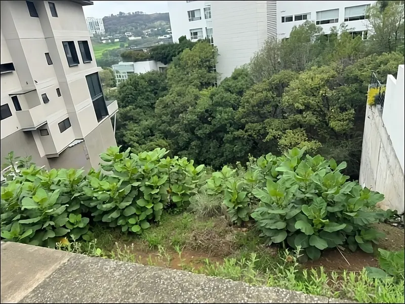 Terreno Exclusivo en Bosque Real